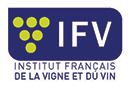 Institut français de la vigne et du vin