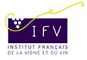 Institut français de la vigne et du vin